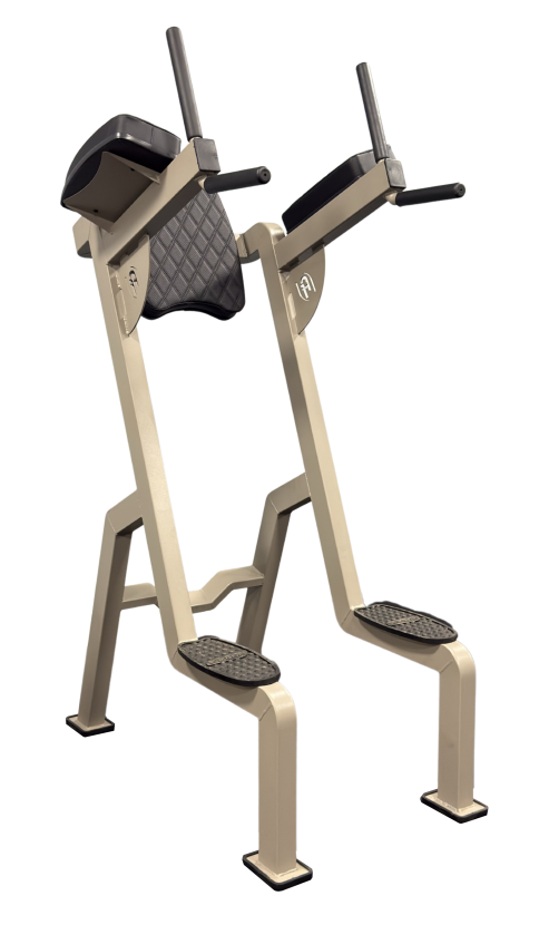 Abdominal Vertical com Paralela Triceps