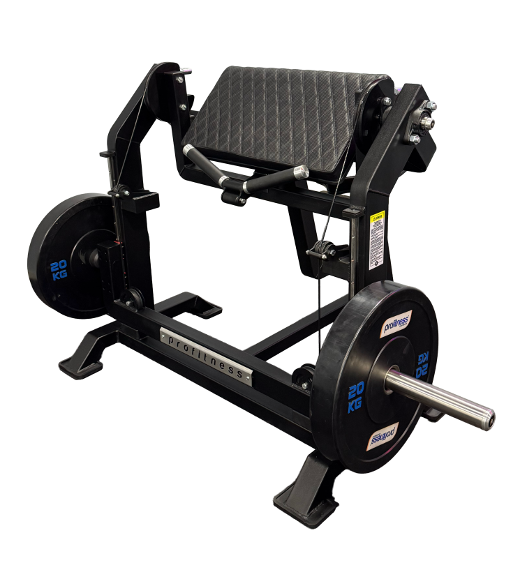 Scott Linear Articulado