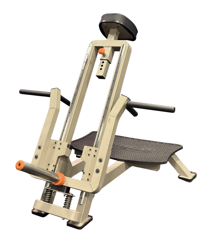 Remada Cavalo Linear