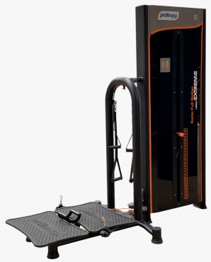 Bicicleta Ergométrica Vertical Profissional BV-300 Black Edition.  PROFITNESS® Equipamentos